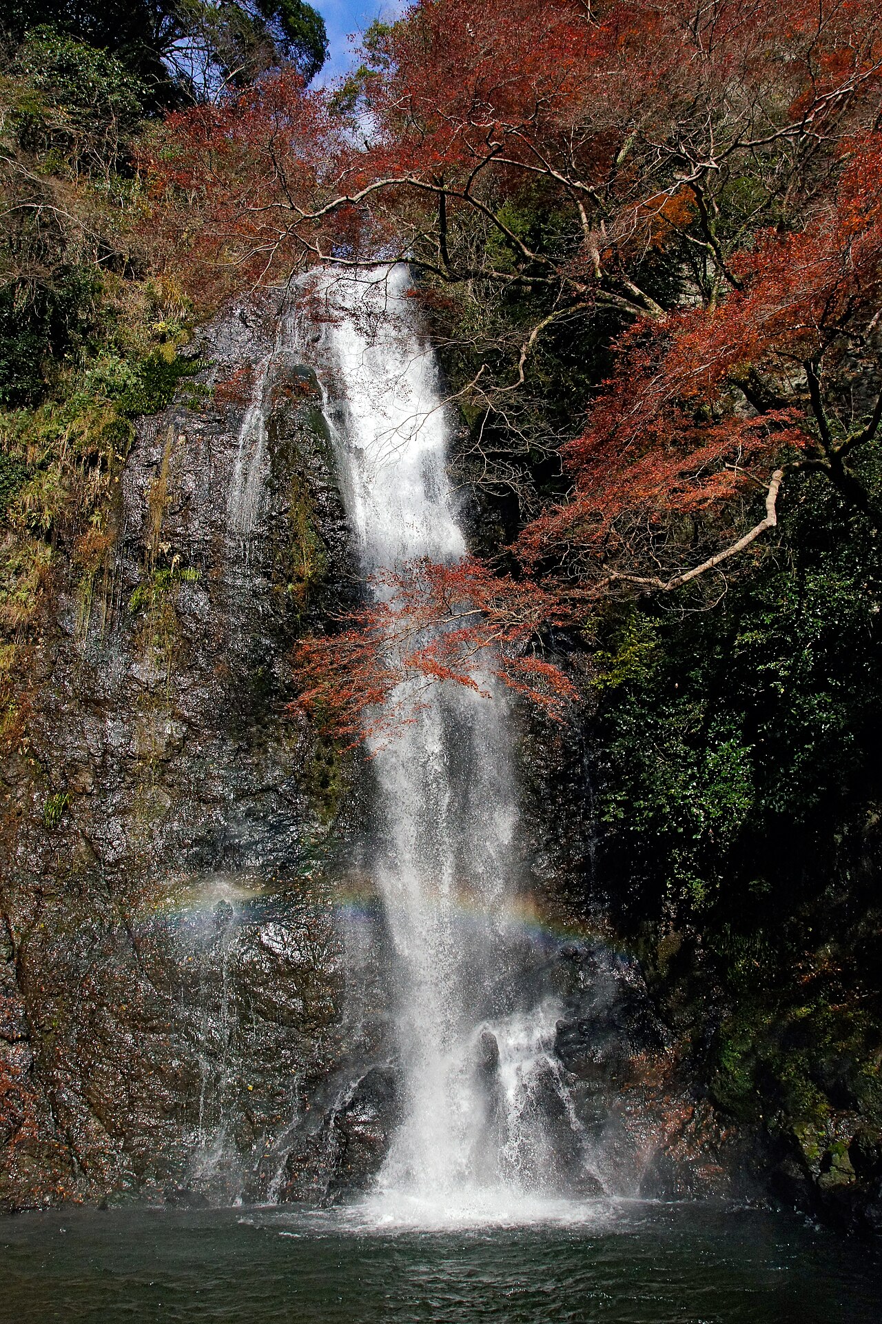 箕面大瀑布與清涼溪谷森林步道